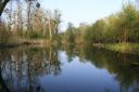 _MG_9066.jpg